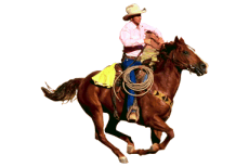 Cowboy graphics