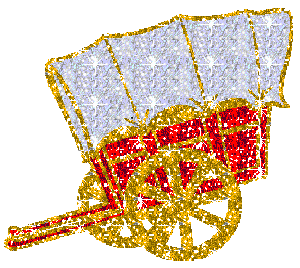 Cowgirl graphics