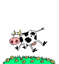 Cows graphics