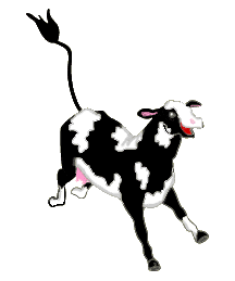 Cows graphics