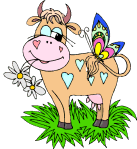 Cows graphics