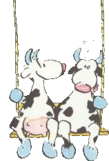 Cows graphics