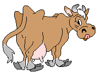 Cows graphics