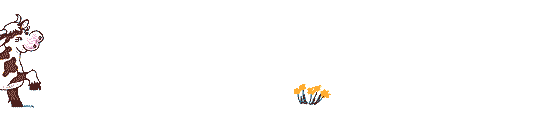 Cows graphics