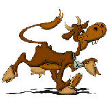 Cows graphics