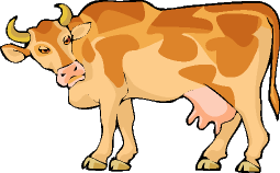 Cows graphics