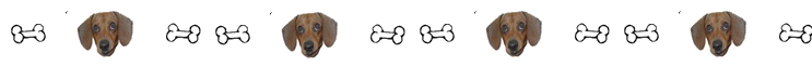 Dachshund graphics