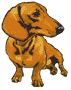 Dachshund graphics