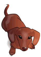 Dachshund graphics