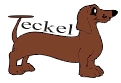 Dachshund graphics