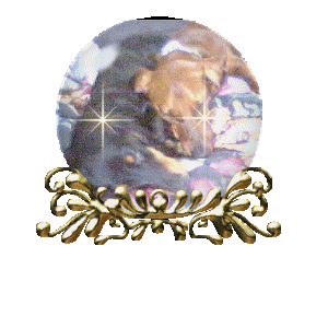 Dachshund graphics