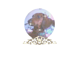 Dachshund graphics