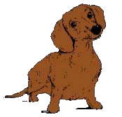 Dachshund graphics