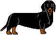 Dachshund graphics
