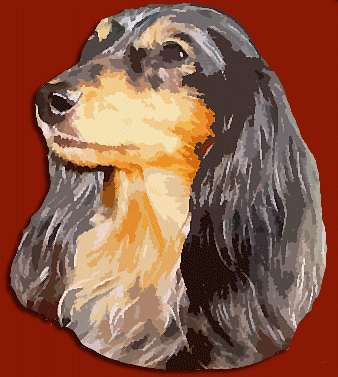 Dachshund graphics