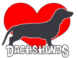 Dachshund graphics