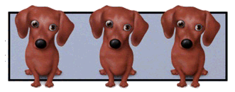 Dachshund graphics