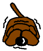 Dachshund graphics