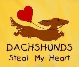 Dachshund graphics