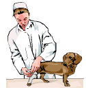 Dachshund graphics
