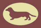 Dachshund graphics