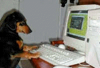 Dachshund graphics