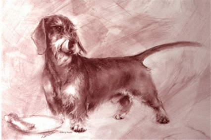 Dachshund graphics