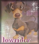 Dachshund graphics