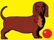 Dachshund graphics