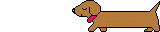 Dachshund graphics