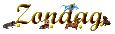 Dachshund graphics