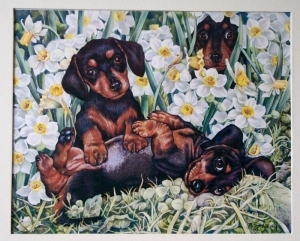 Dachshund graphics