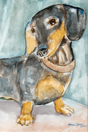 Dachshund