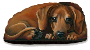 Dachshund graphics