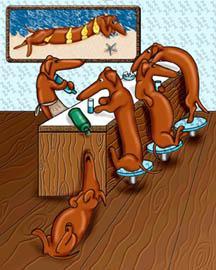 Dachshund graphics