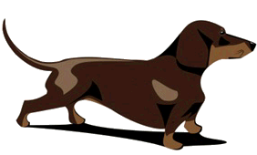 Dachshund graphics