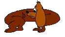 Dachshund graphics