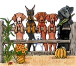 Dachshund graphics