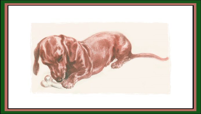 Dachshund graphics