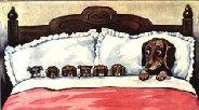 Dachshund graphics