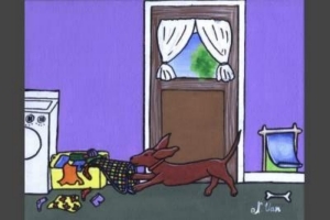 Dachshund graphics