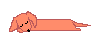 Dachshund graphics