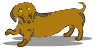Dachshund graphics
