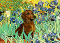 Dachshund graphics