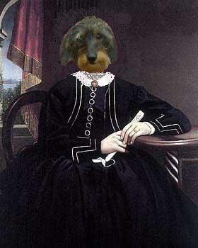 Dachshund graphics