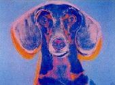 Dachshund graphics