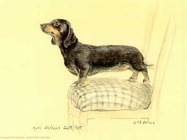 Dachshund graphics