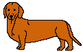 Dachshund graphics