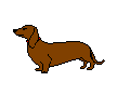 Dachshund graphics