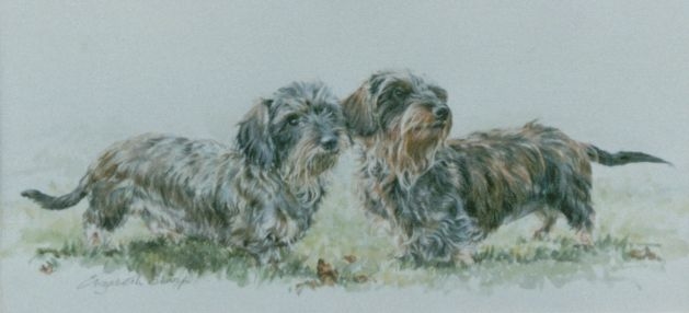 Dachshund graphics